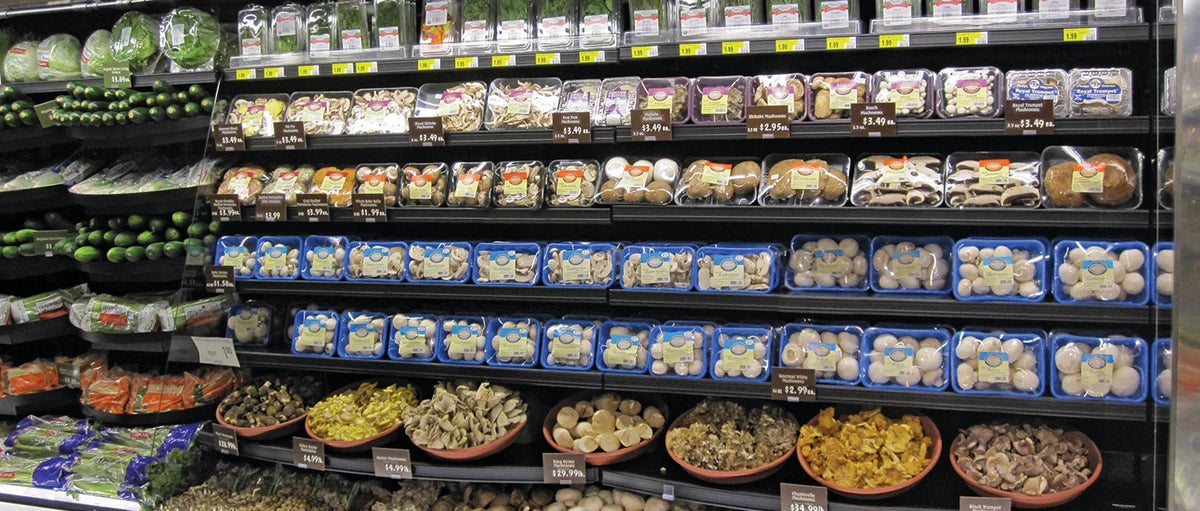 Poubelle en terre cuite