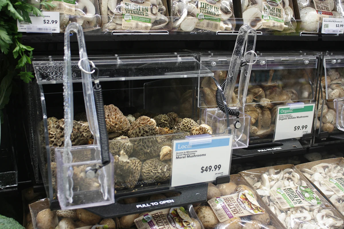 Poubelle acrylique extractible