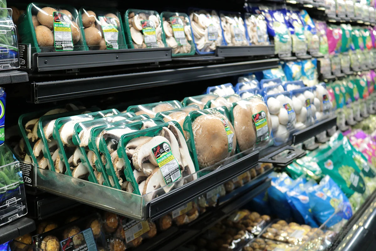 Bacs à germes / à champignons