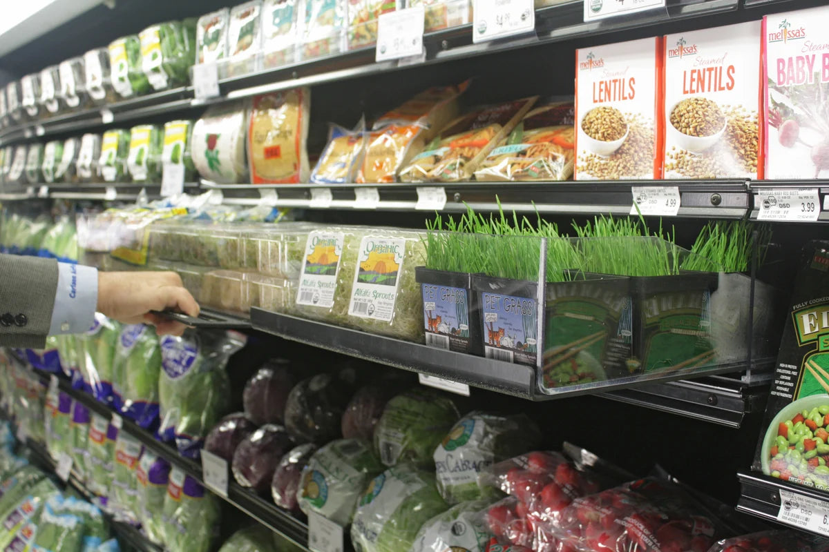 Bacs à germes / à champignons