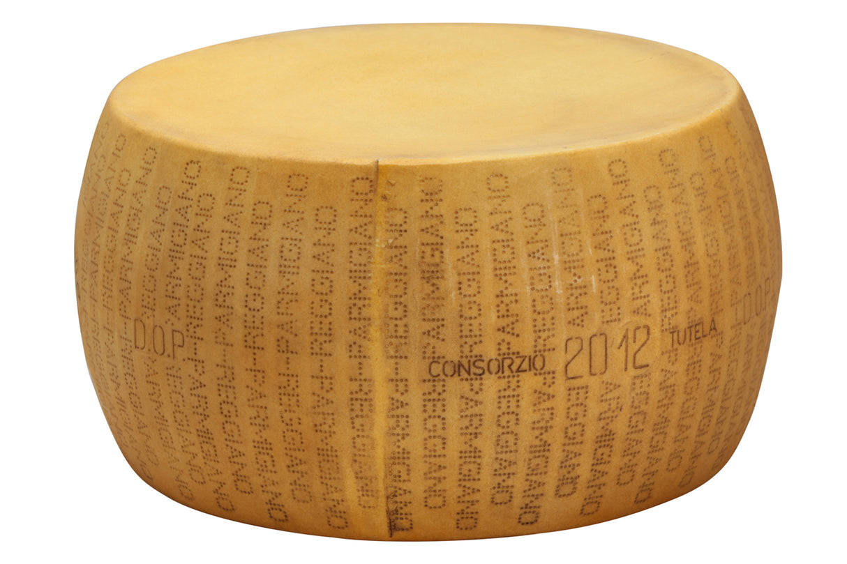 Artificial Wheel of Parmesan Cheese, 16"x8" [Parmigiano]